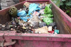 FB_IMG_1511375097530